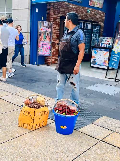 Fotografía de archivo